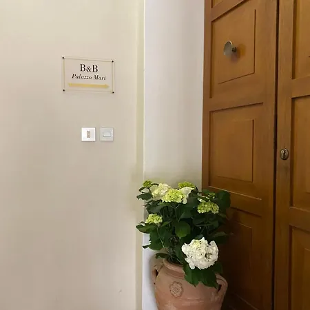 Palazzo Mari &